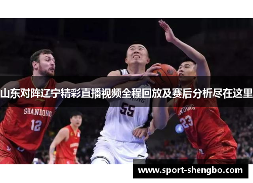 山东对阵辽宁精彩直播视频全程回放及赛后分析尽在这里